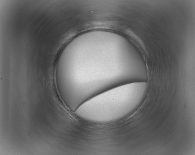 X0000072491411200607140859