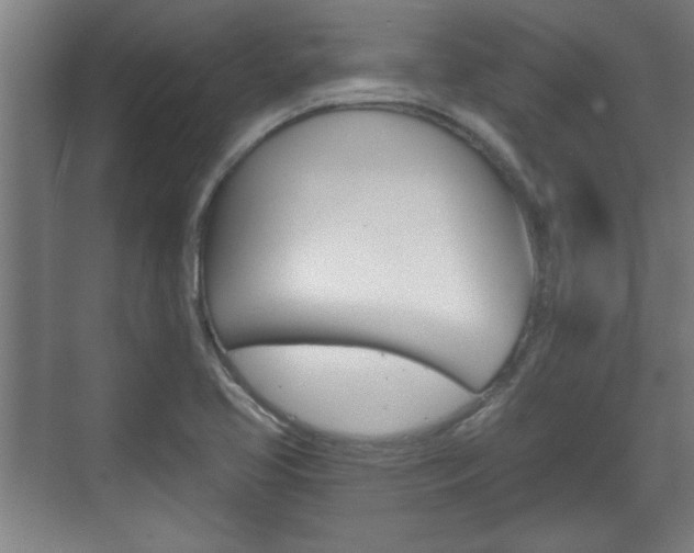 X0000072491413200607140859