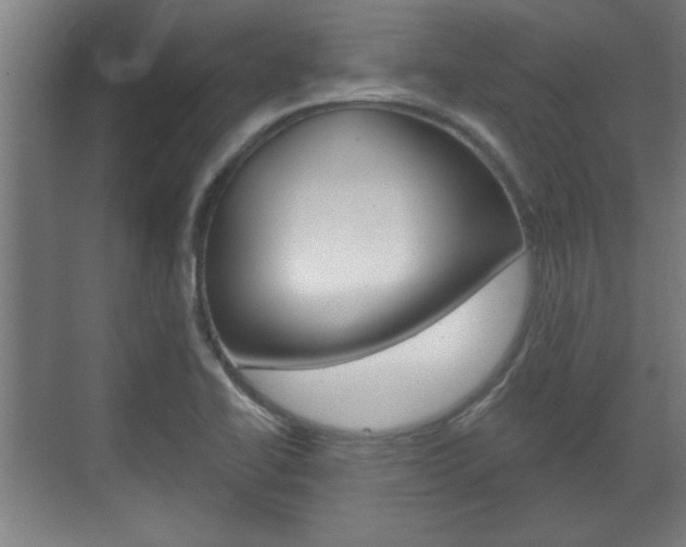 X0000072491414200607140859
