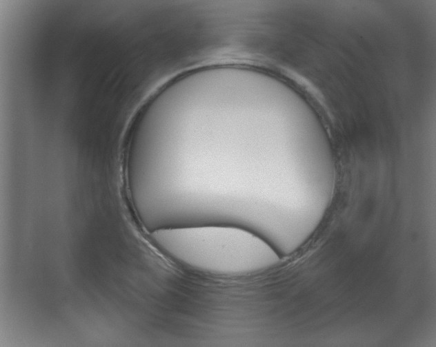 X0000072491415200607140859