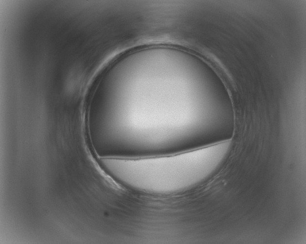 X0000072491416200607140859