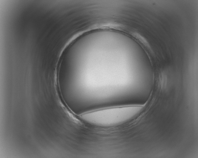 X0000072491420200607140859