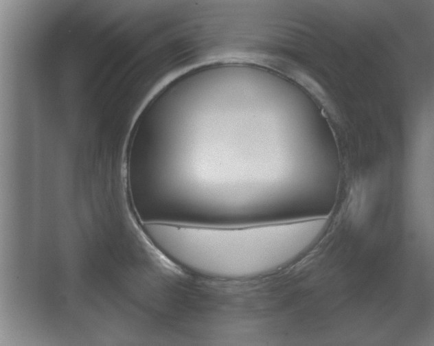 X0000072491428200607140859