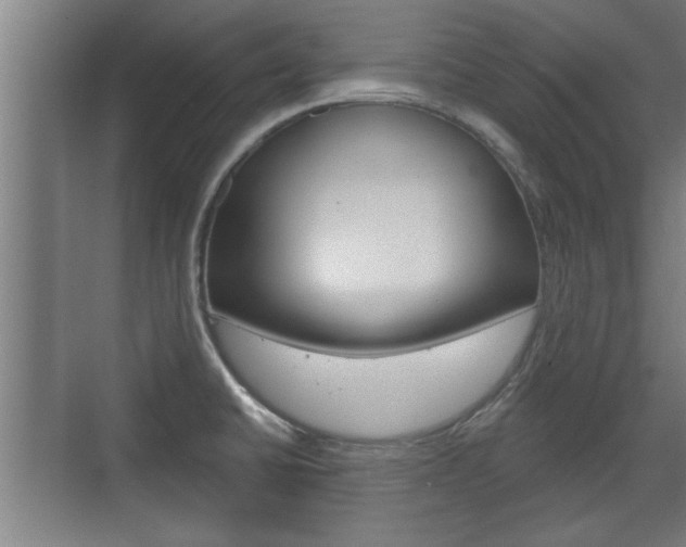 X0000072491430200607140859