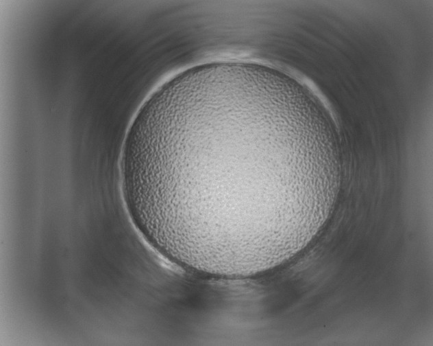X0000072491432200607140859