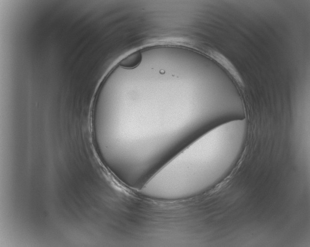 X0000072491436200607140859