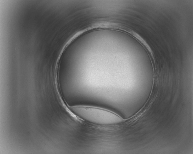 X0000072491437200607140859