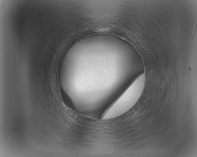 X0000072491441200607140858