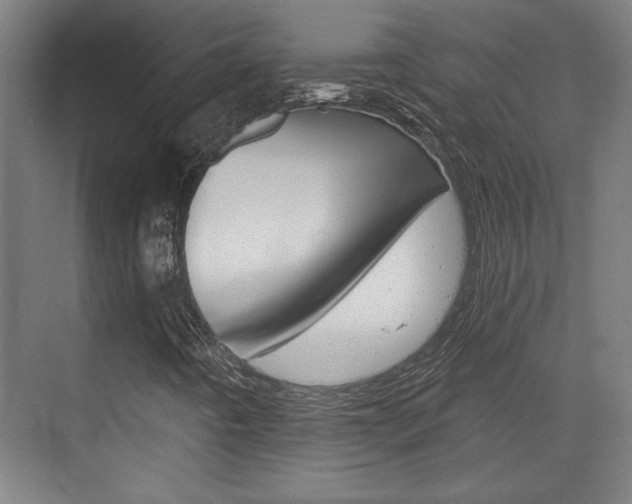 X0000072491442200607140858