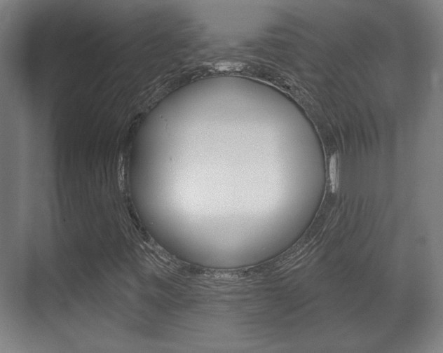 X0000072491443200607140858