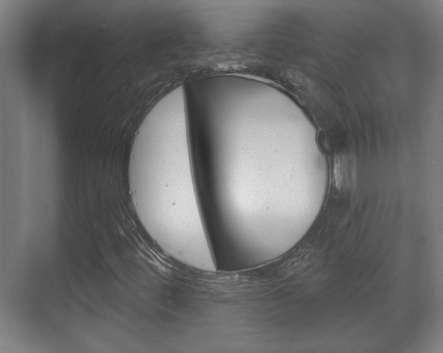 X0000072491444200607140858