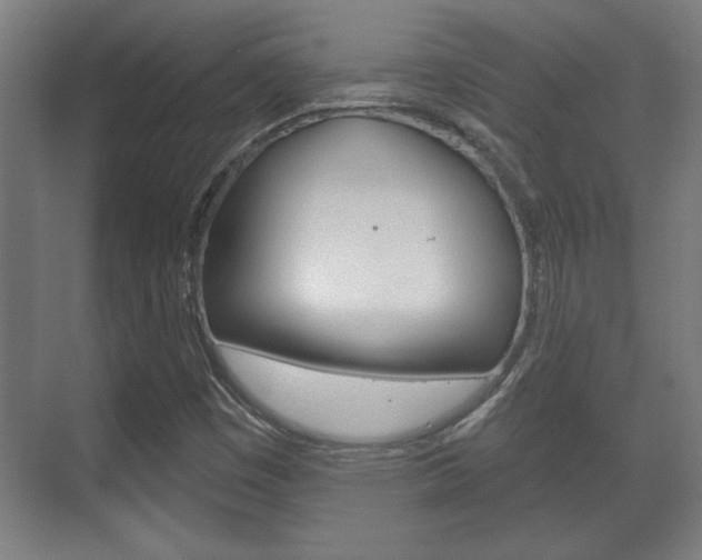 X0000072491449200607140858