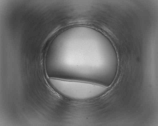 X0000072491450200607140858