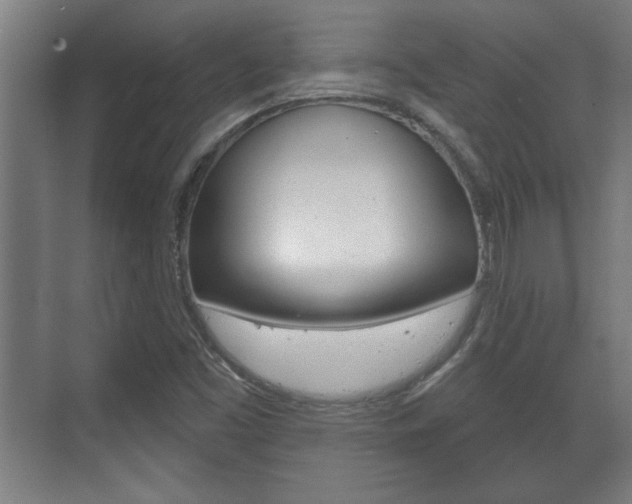 X0000072491453200607140858