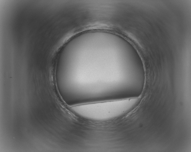 X0000072491455200607140858