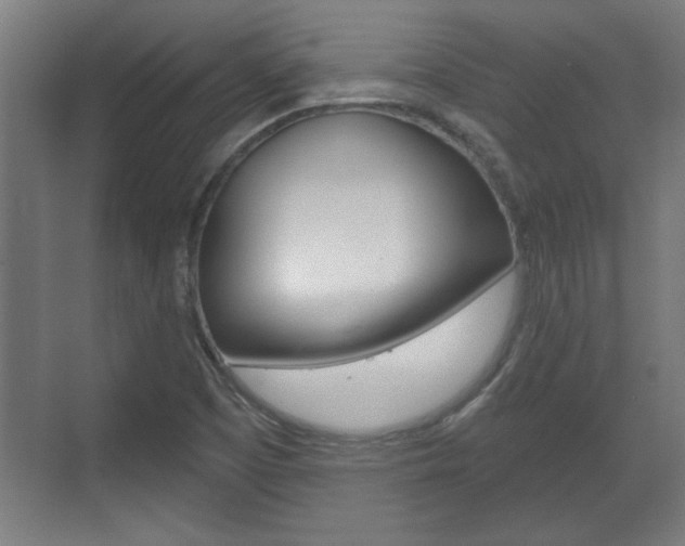 X0000072491457200607140858
