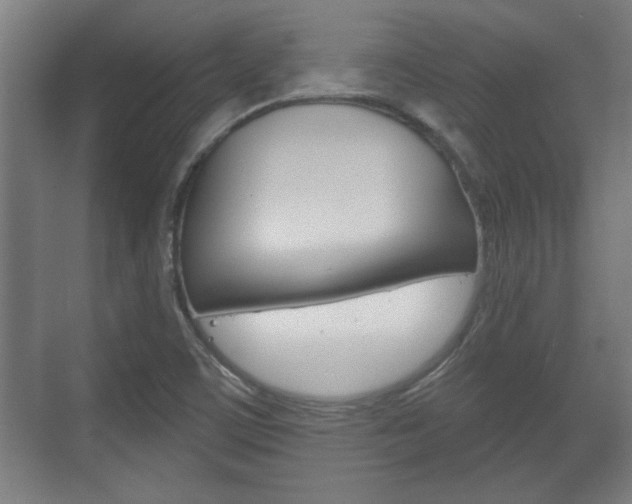 X0000072491459200607140858