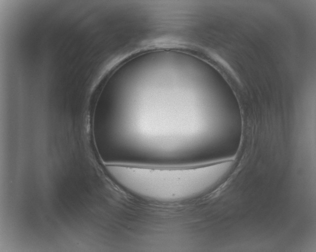 X0000072491461200607140858
