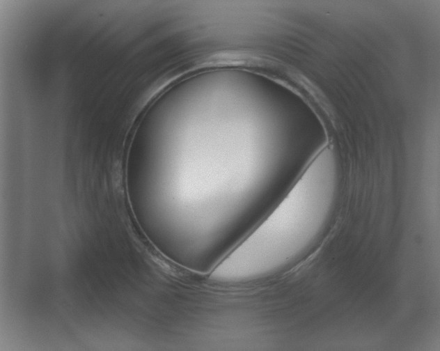 X0000072491465200607140858