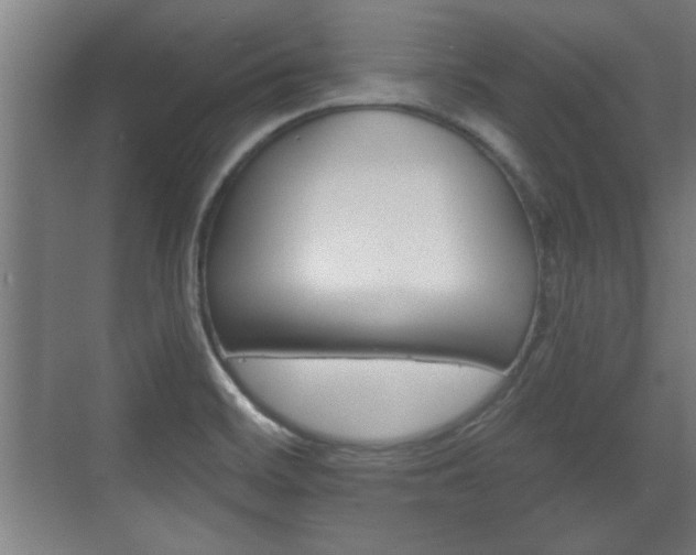 X0000072491468200607140858