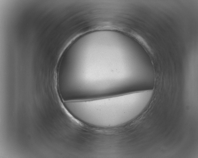 X0000072491476200607140858