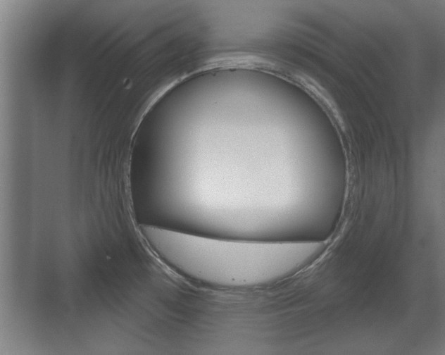 X0000072491481200607140858
