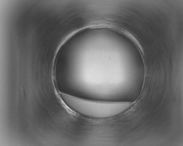 X0000072491485200607140857
