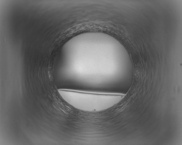 X0000072491490200607140857