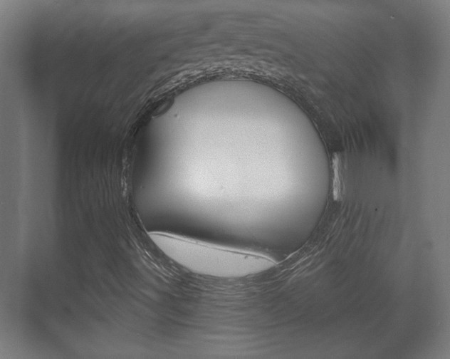 X0000072491491200607140857