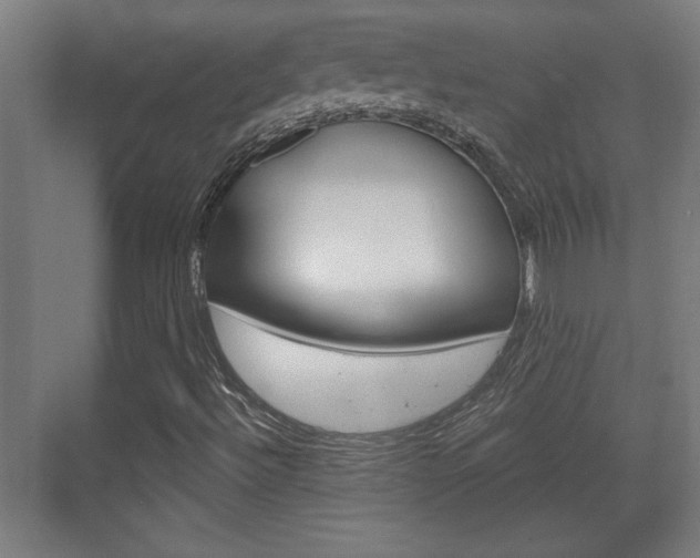 X0000072491492200607140857
