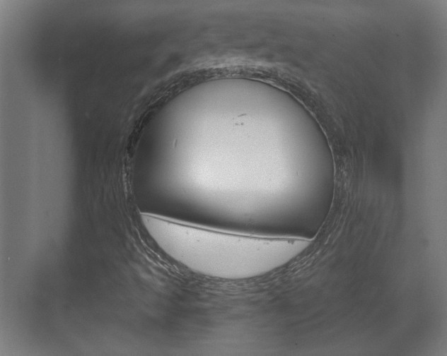 X0000072491493200607140857