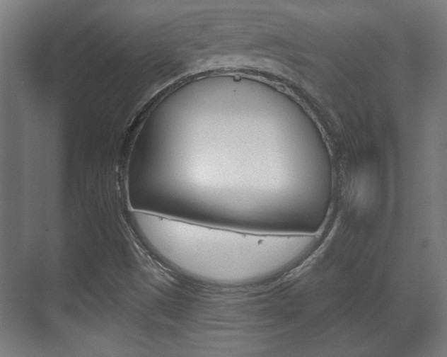 X0000072491497200607140857