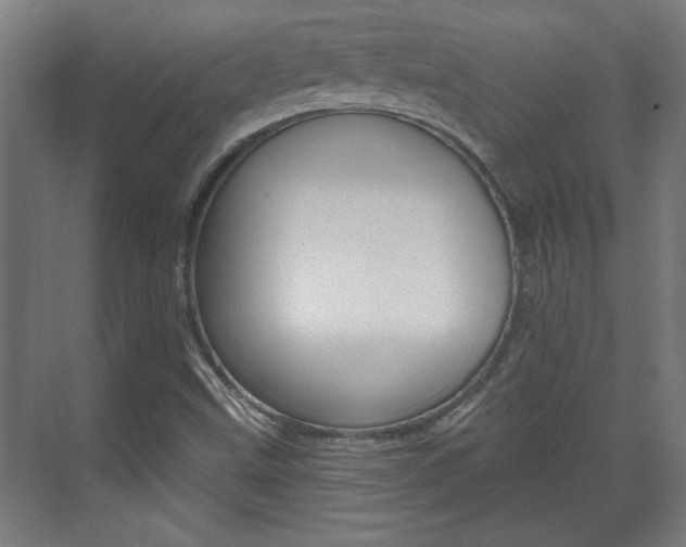 X0000072491499200607140857