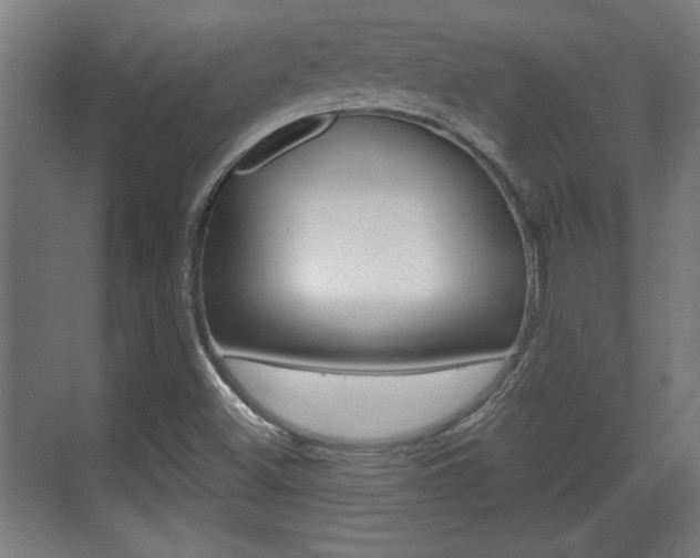 X0000072491500200607140857