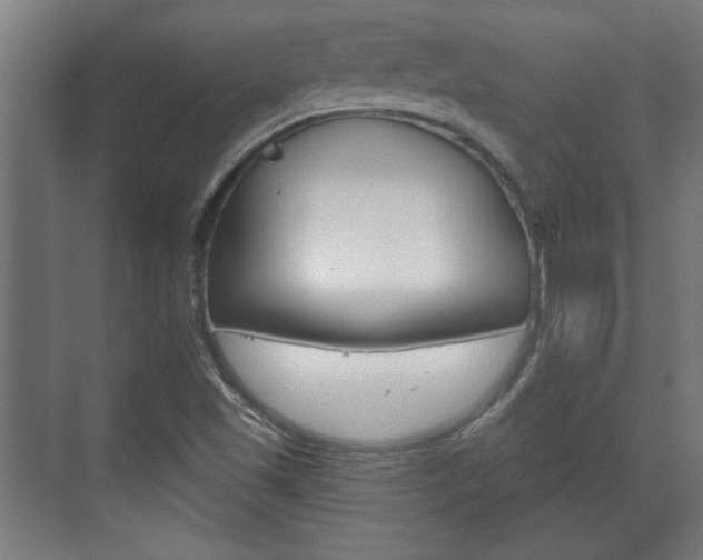 X0000072491501200607140857