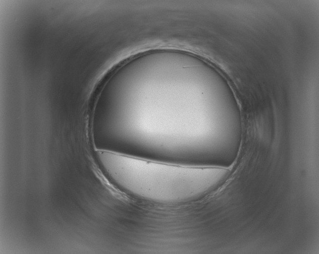 X0000072491503200607140857