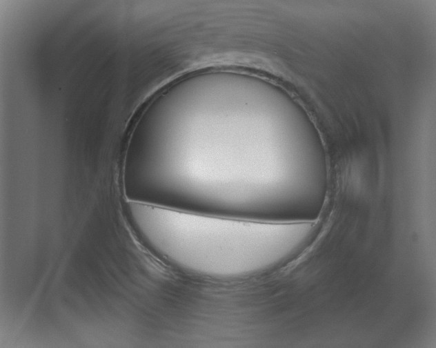X0000072491505200607140857