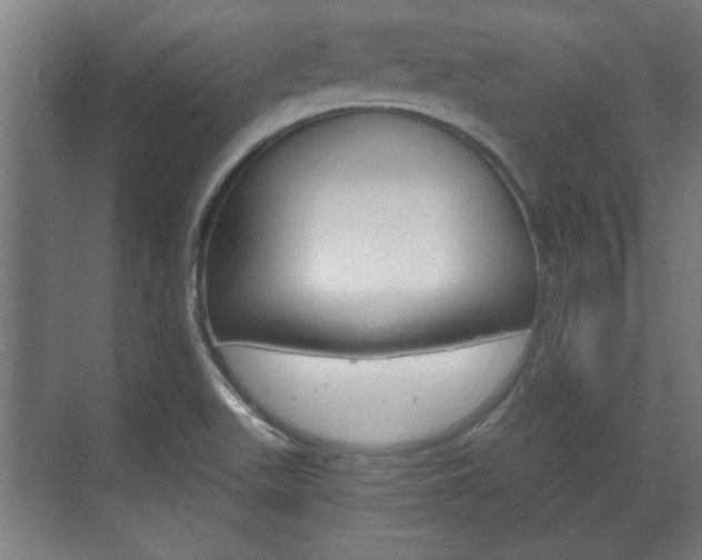 X0000072491511200607140857