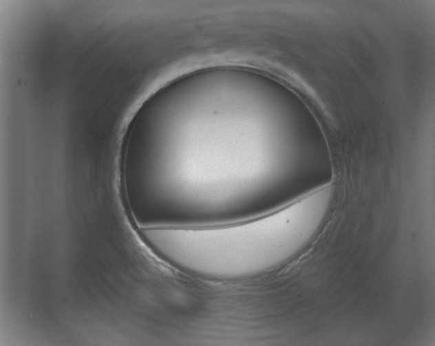 X0000072491512200607140857
