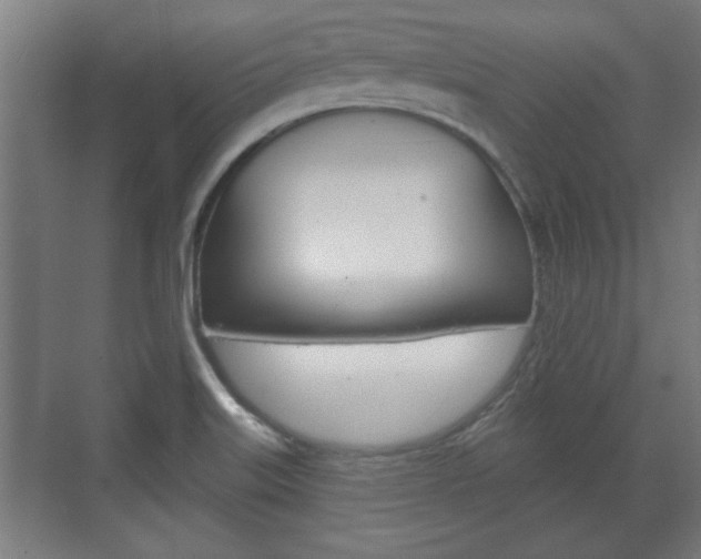 X0000072491515200607140857