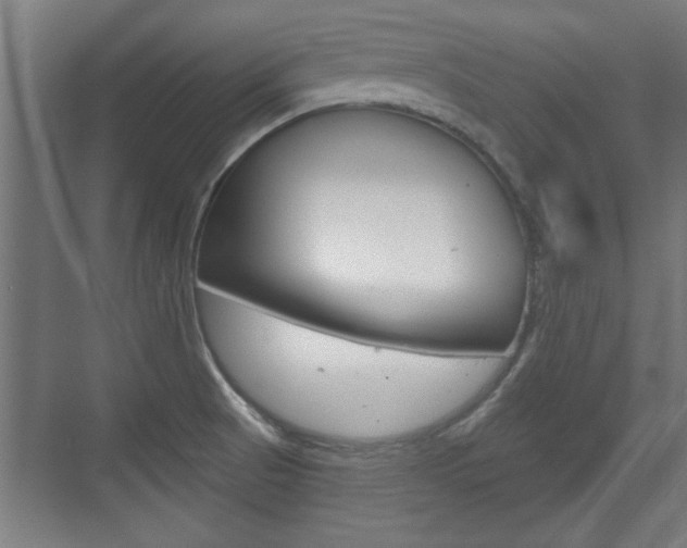 X0000072491521200607140857