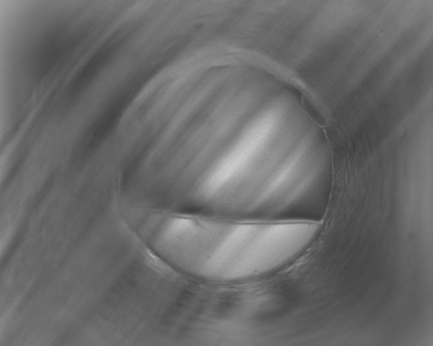 X0000072491522200607140857