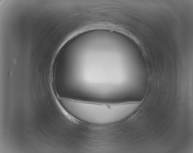 X0000072491523200607140857