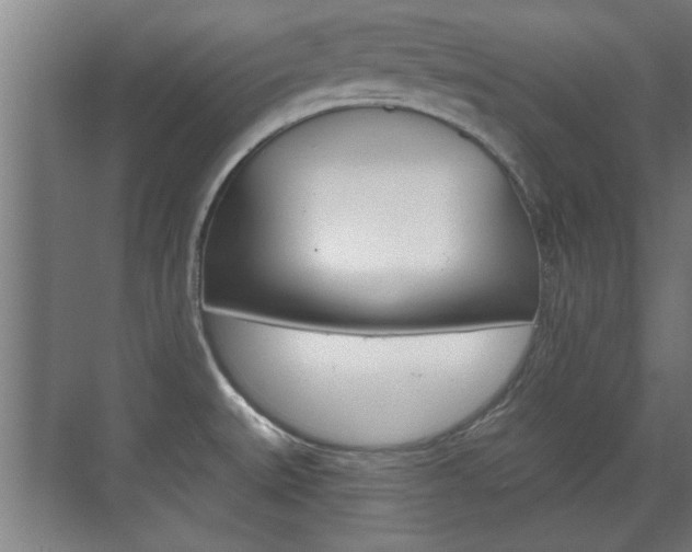 X0000072491527200607140857