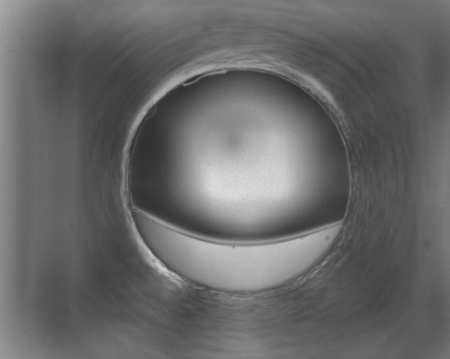 X0000072491528200607140857