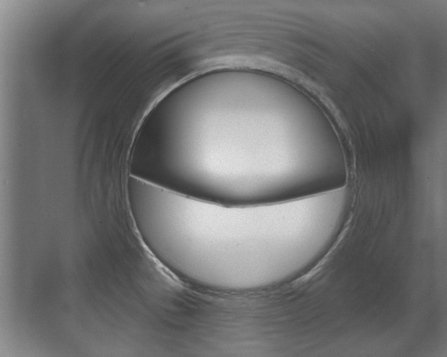 X0000072491529200607140857