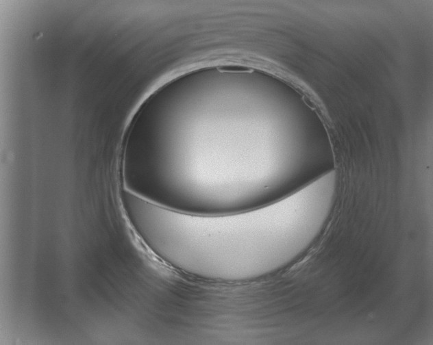 X0000072491530200607140857