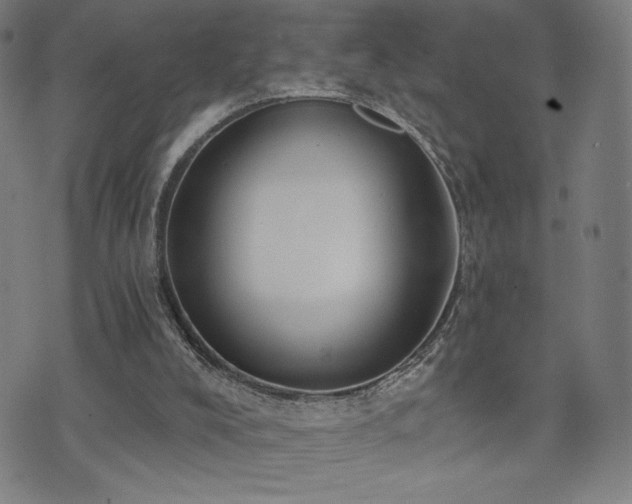 X0000072490008200607141116