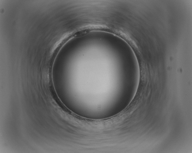 X0000072490015200607141116