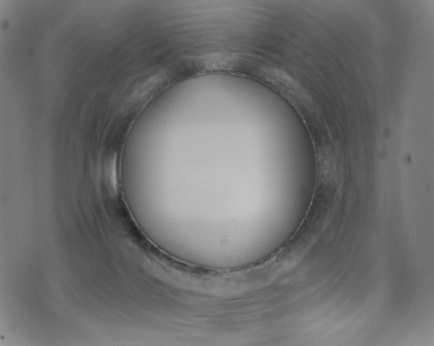 X0000072490028200607141116